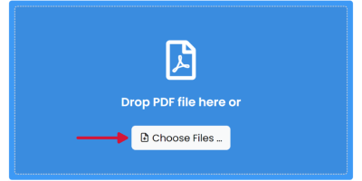 选择并上传您的 PDF 文件。等待文件上传。